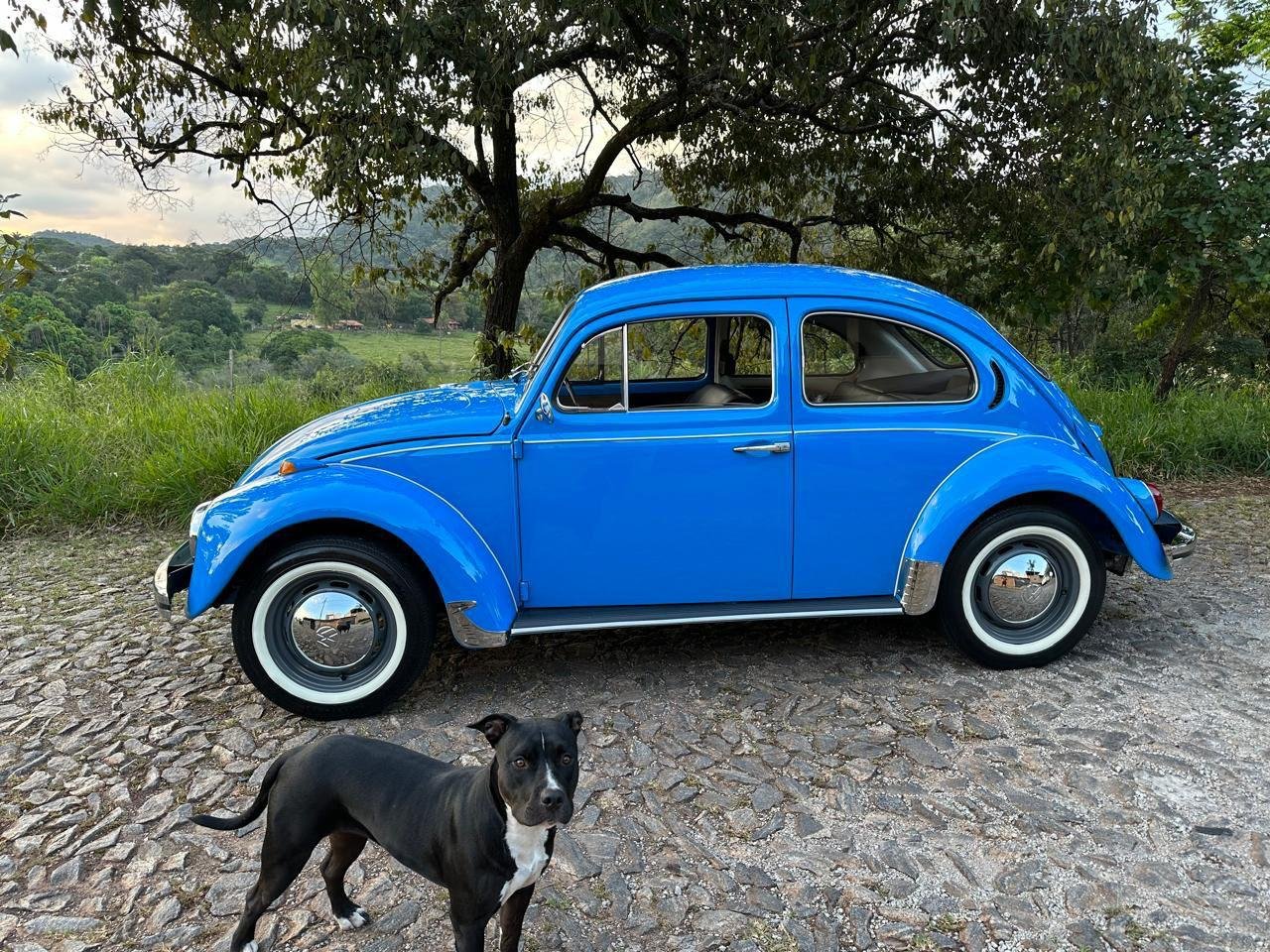 Foto do veículo Volkswagen Fusca 5